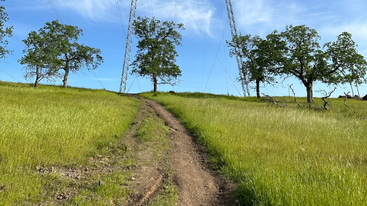 Energy Efficiency and Sustainable PDU Design